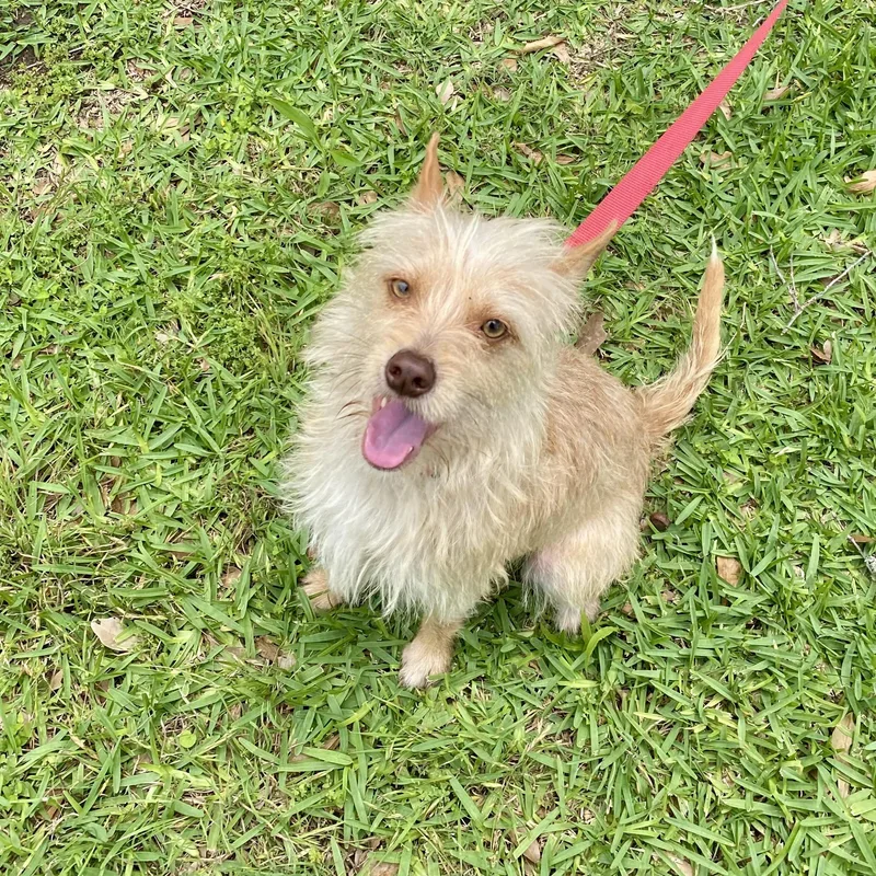 Mr. Moby thumbnail 3