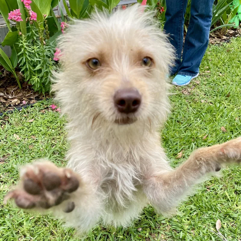 Mr. Moby thumbnail 4