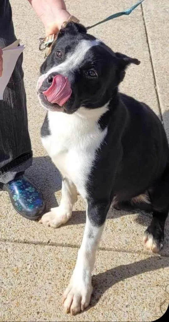 Wyatt  A thumbnail 3