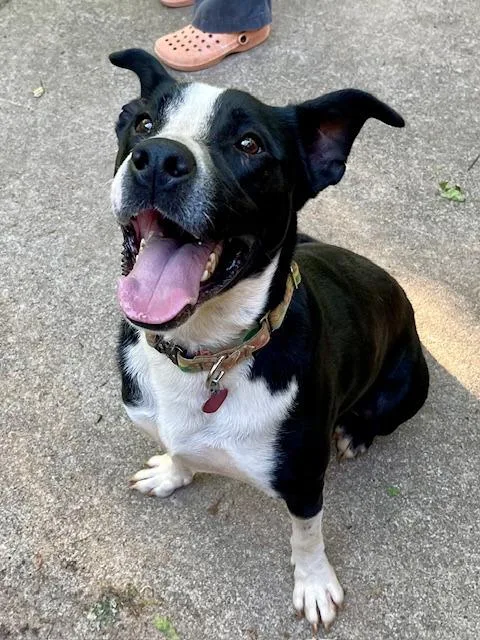 Wyatt  A thumbnail 5