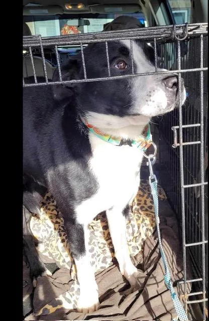 Wyatt  A thumbnail 6