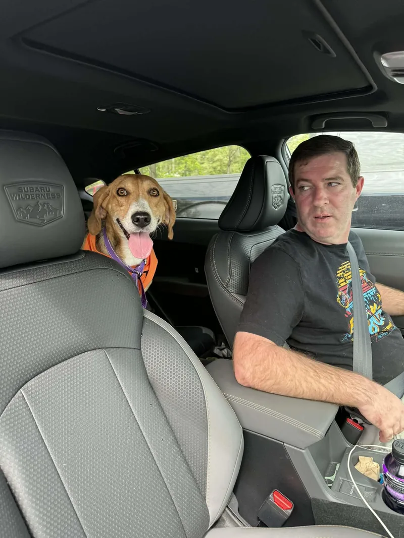 Lil Teapot thumbnail 3