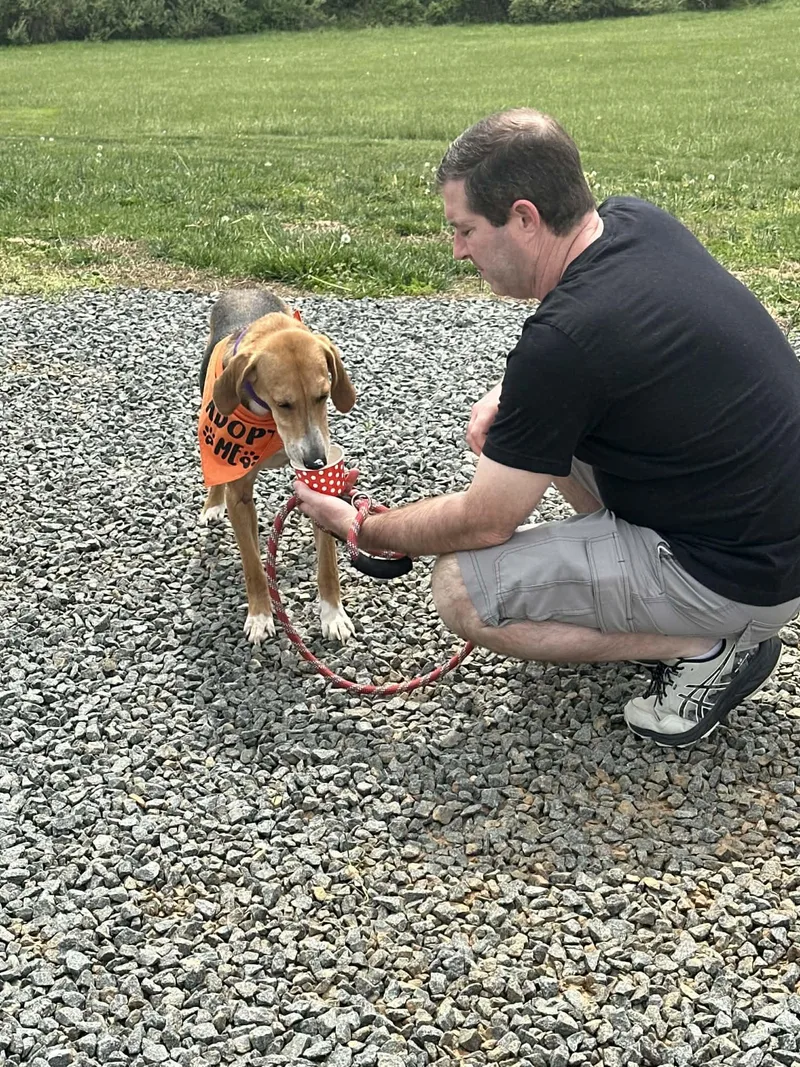 Lil Teapot thumbnail 5