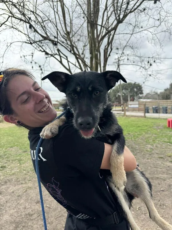 Lilly Cutie Patootie