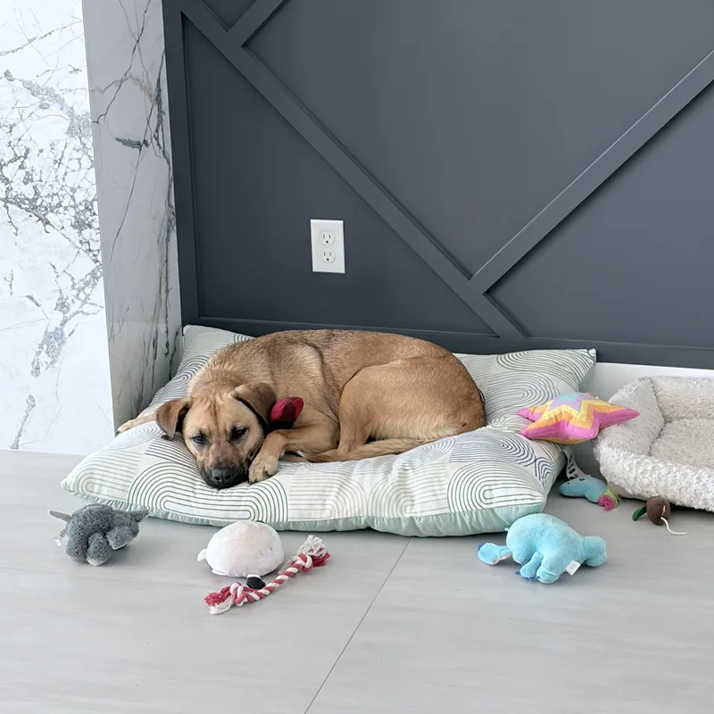 Roxy thumbnail 2