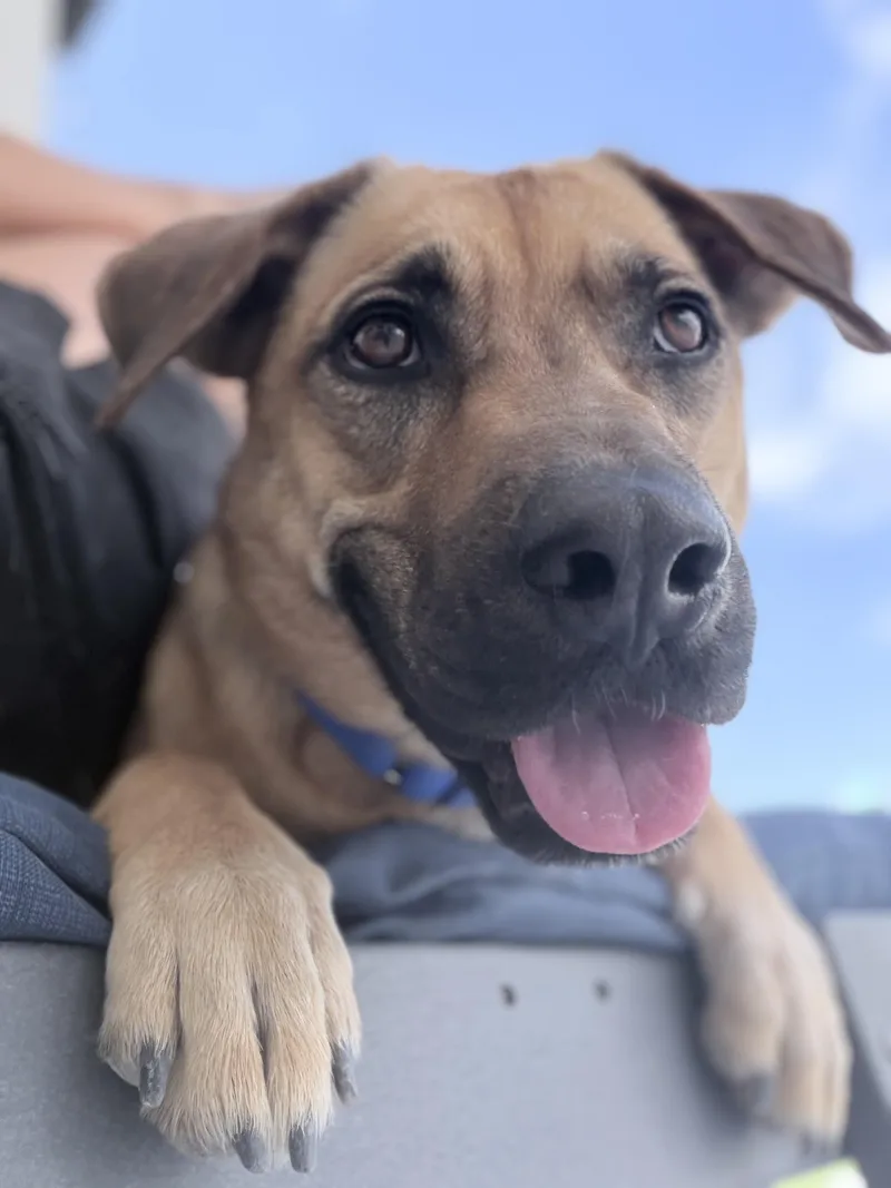 Roxy thumbnail 4