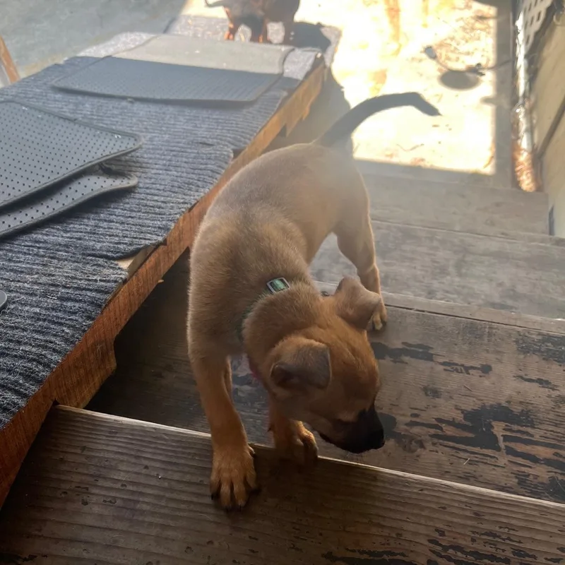 Dolly Parton thumbnail 3