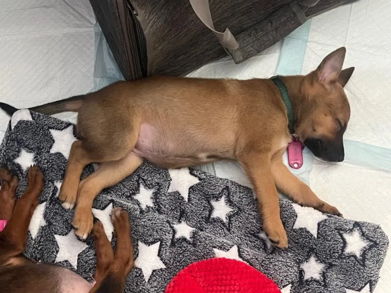 Dolly Parton thumbnail 6