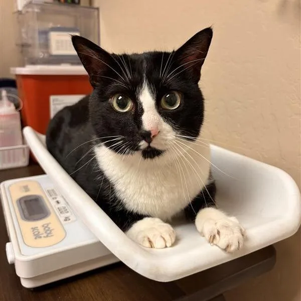 Kevin Bacon thumbnail 2