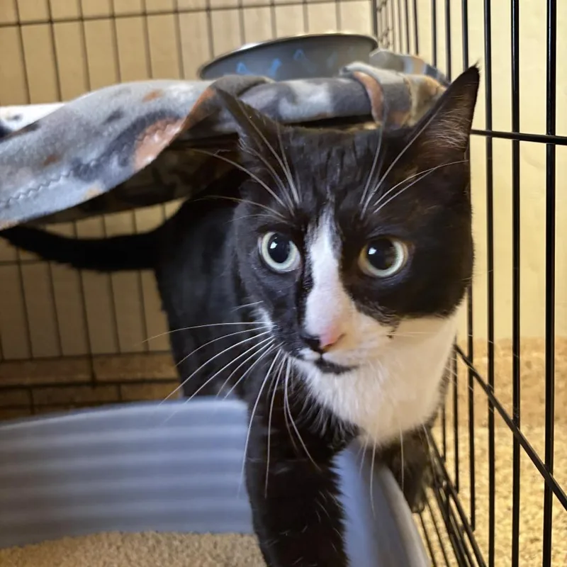 Kevin Bacon thumbnail 3