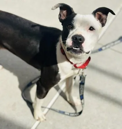 Jenna Marbles thumbnail 2