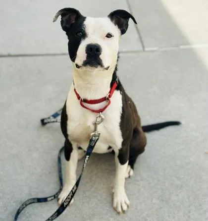 Jenna Marbles thumbnail 3