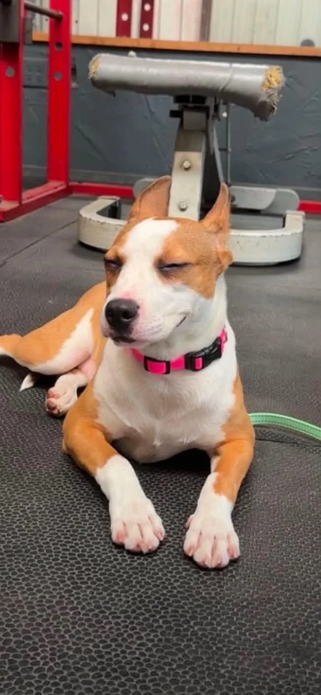 Lola thumbnail 2