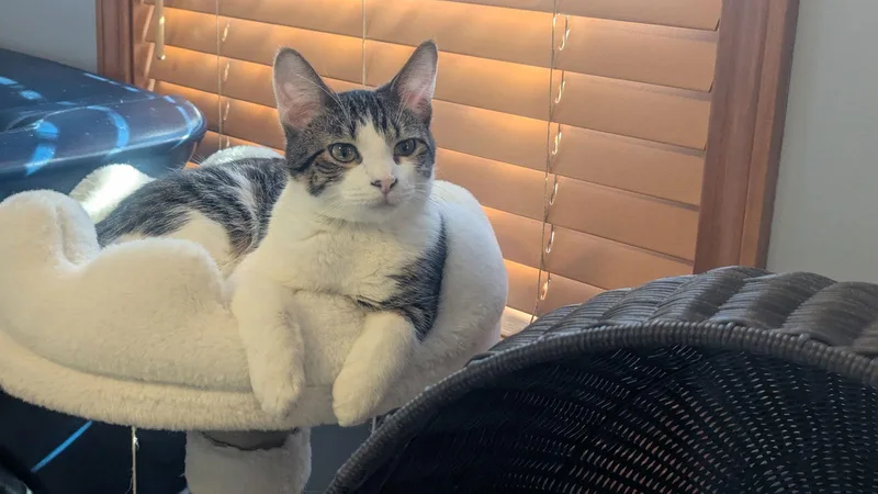 Big John thumbnail 3