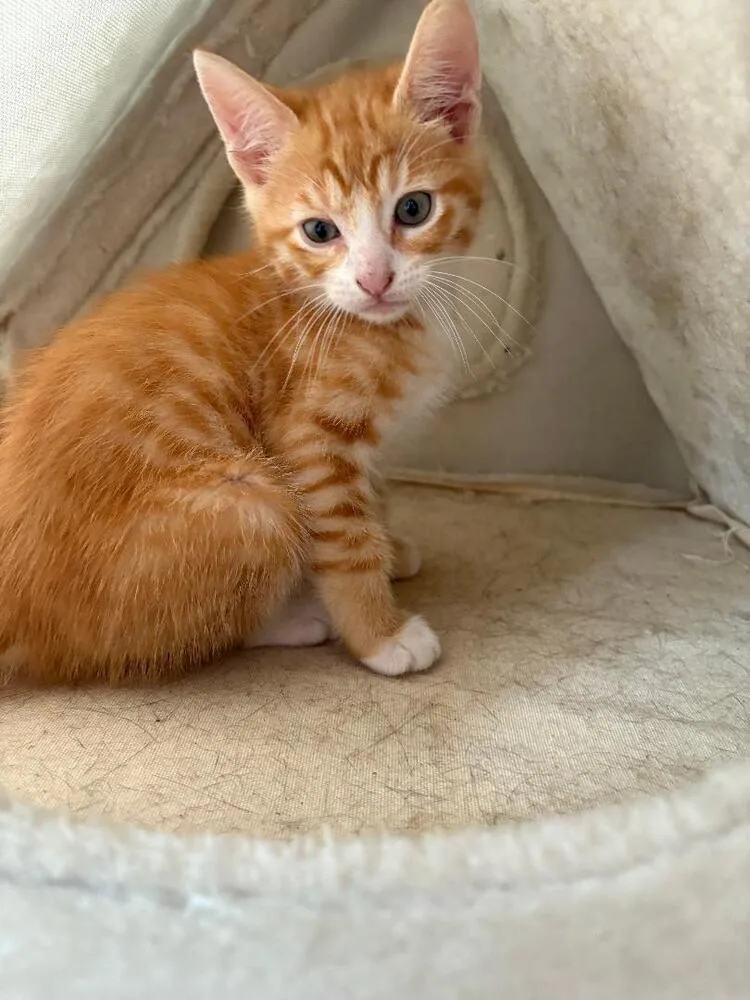 Luke thumbnail 3