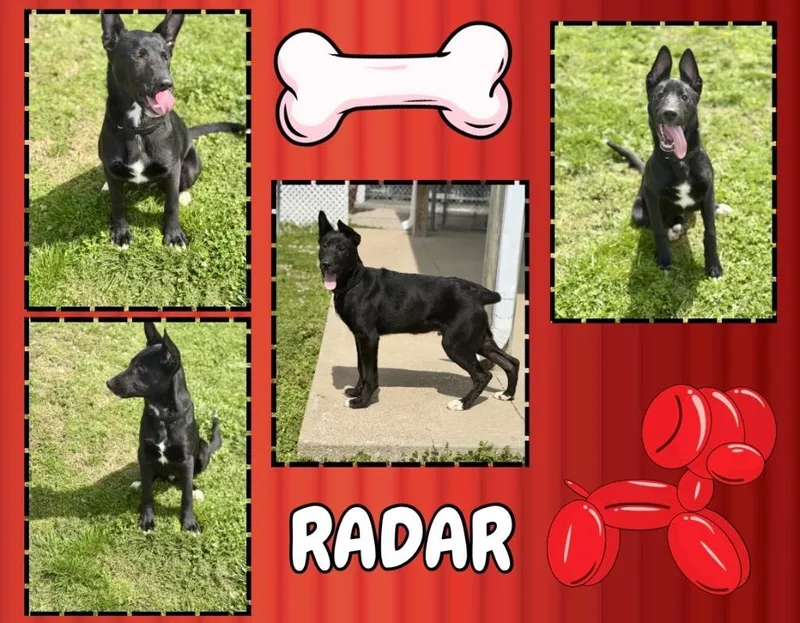 Radar thumbnail 2