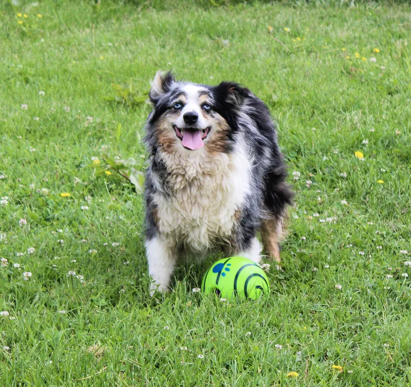Roxy thumbnail 2
