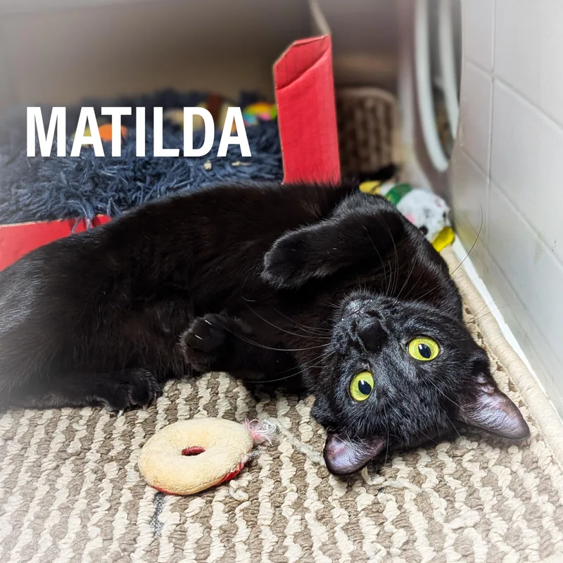 Matilda