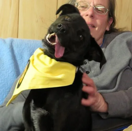 Lucy thumbnail 2