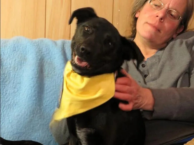 Lucy thumbnail 4