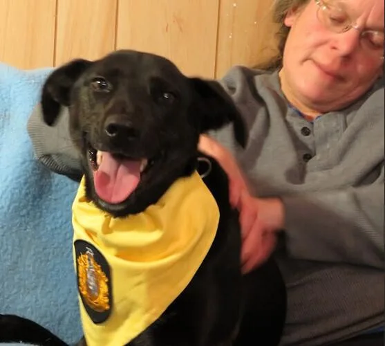 Lucy thumbnail 5