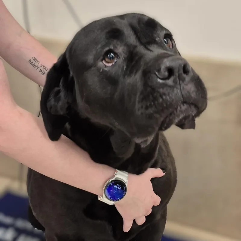 Evie ~~ Visit Me thumbnail 4