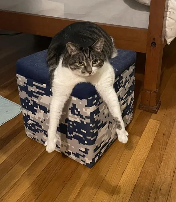 Caramelo thumbnail 2