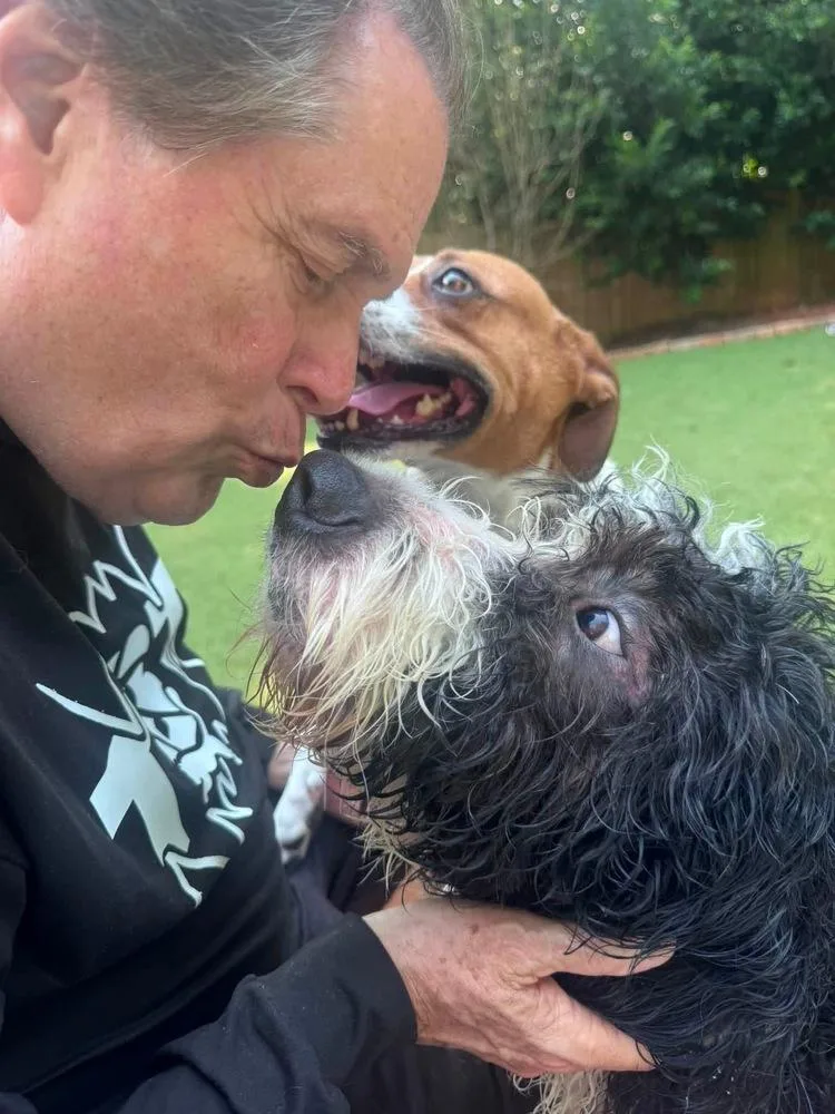 Louie thumbnail 3