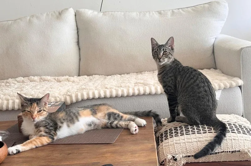 Mia And Nina thumbnail 2