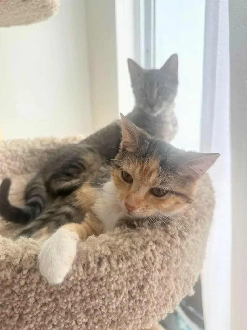 Mia And Nina thumbnail 4