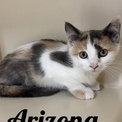 Arizona