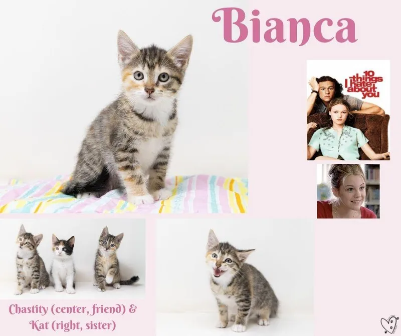 Bianca thumbnail 2