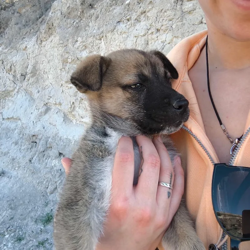 Moctezuma thumbnail 2