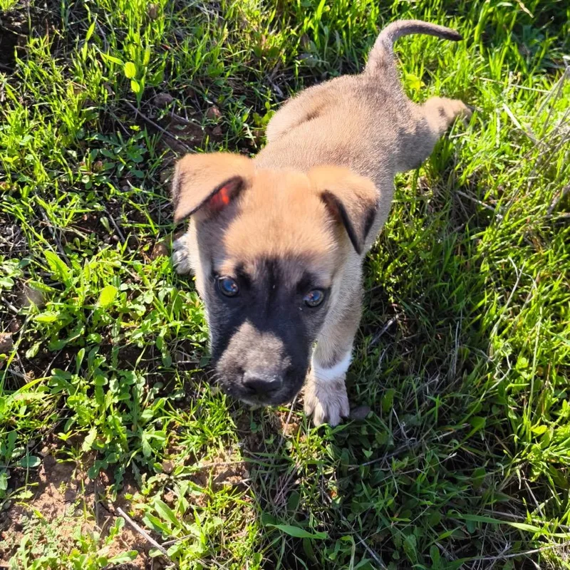 Moctezuma thumbnail 4