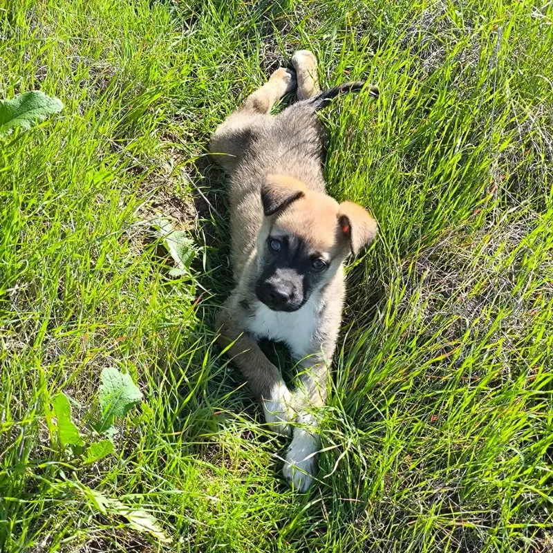 Moctezuma thumbnail 5