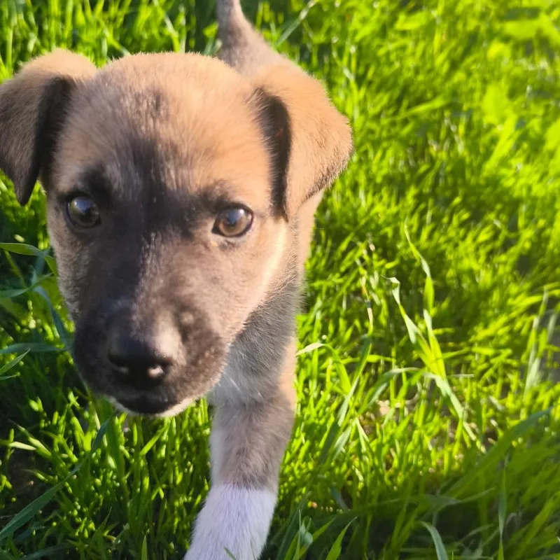 Moctezuma thumbnail 6