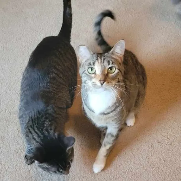 Gigi and Bella thumbnail 3