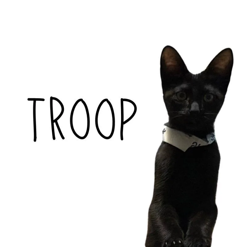 Troop
