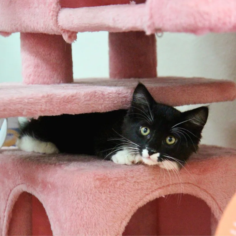Walter thumbnail 2