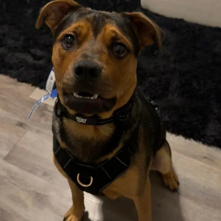 Jax