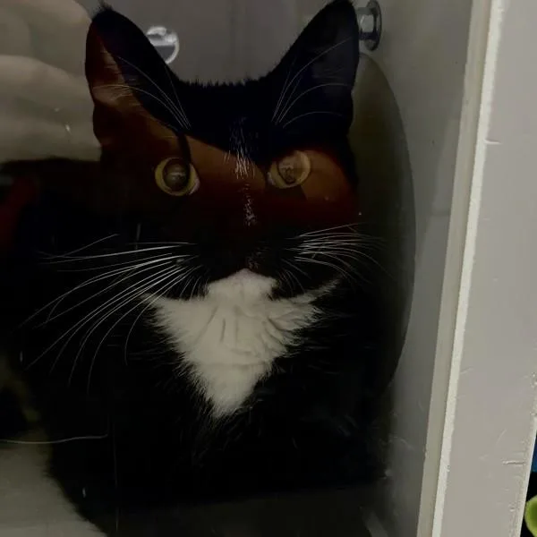 Gabby thumbnail 3