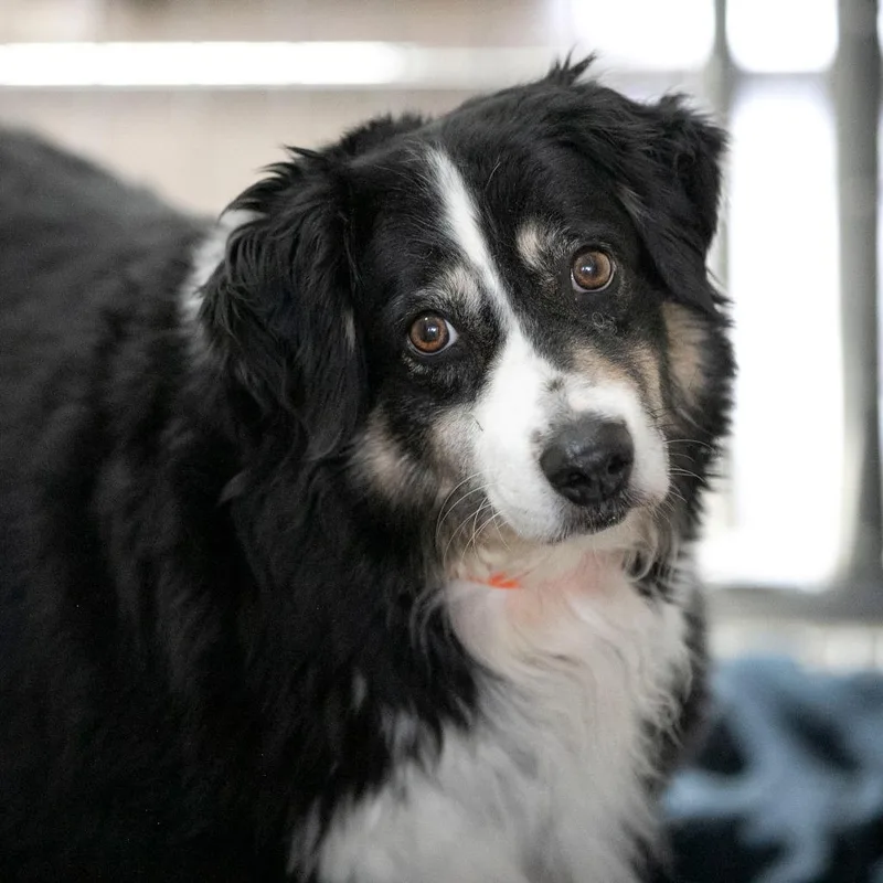 Zoey thumbnail 2