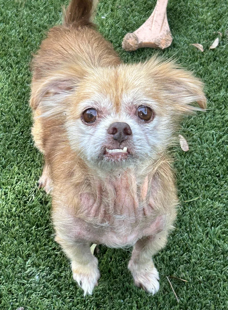 Bailey thumbnail 2