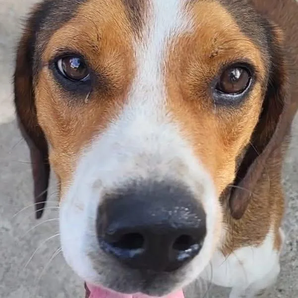 Buster thumbnail 2