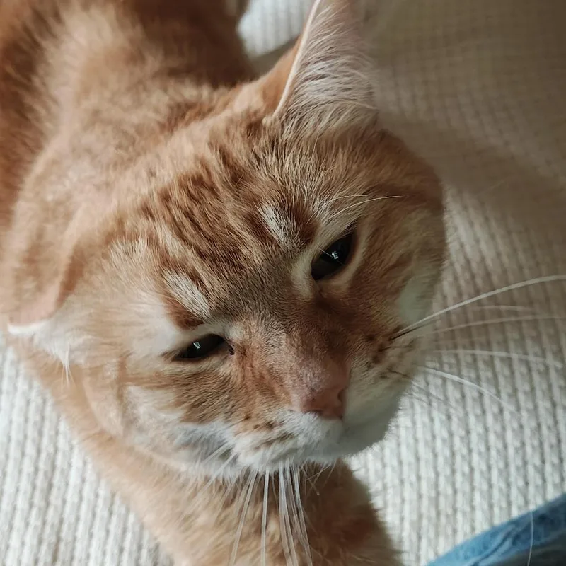 Peaches C thumbnail 2