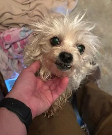 Sponsor Me  Tiffany thumbnail 3