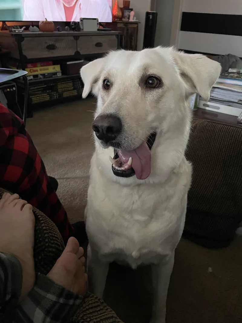 Luna Grace thumbnail 2