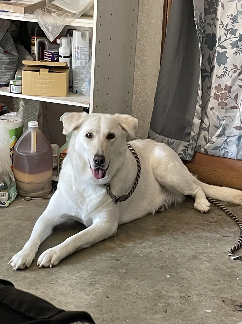 Luna Grace thumbnail 3