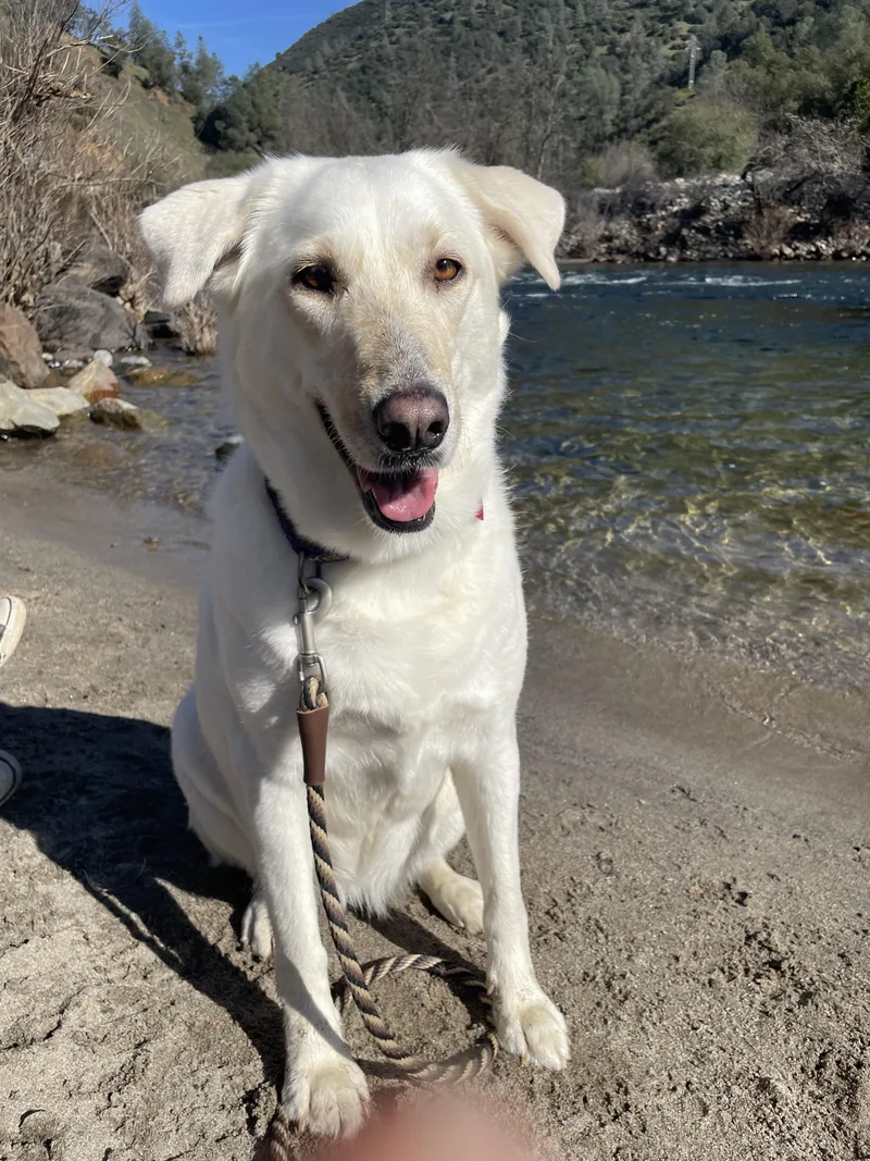 Luna Grace thumbnail 4