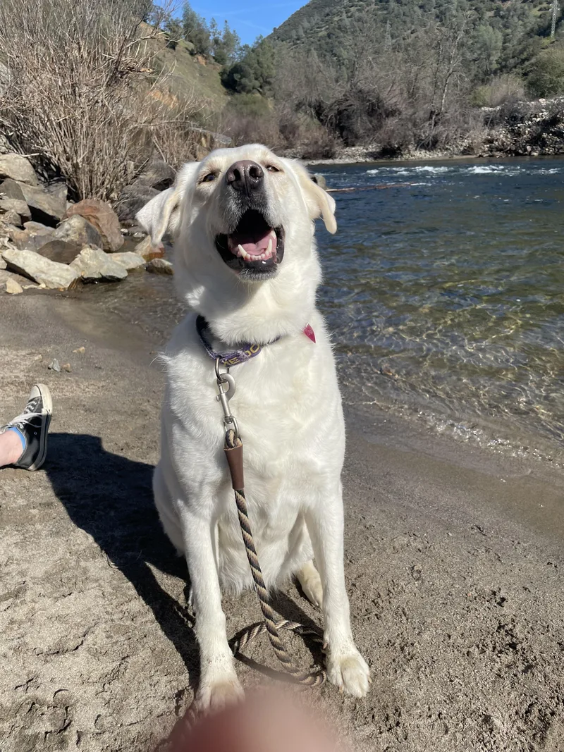 Luna Grace thumbnail 5